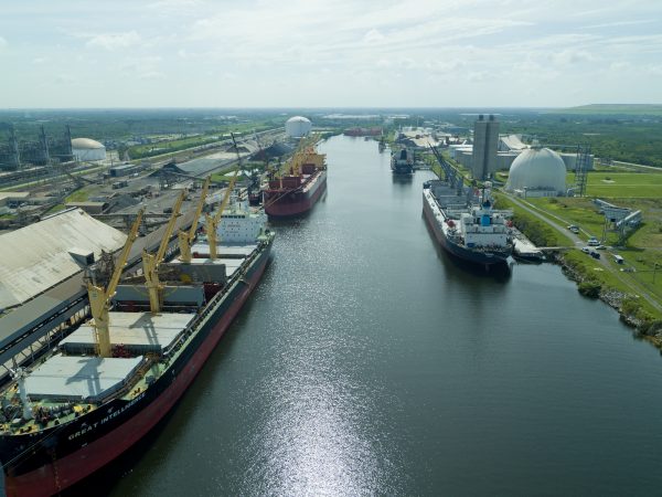 Various Bulk Ships in port