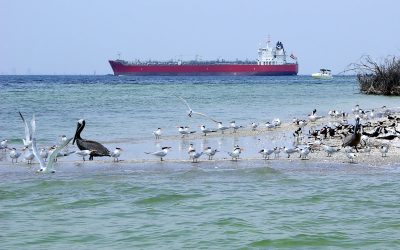 Port Tampa Bay, Propeller Club and Keep Tampa Bay Beautiful to host Fifth Annual ‘Great Port Clean-up’