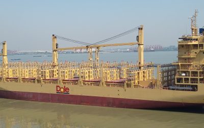 Dole Fresh Fruit North America leadership team visits Port Tampa Bay