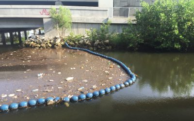 Port Tampa Bay and Cardno formally adopt McKay Bay Nature Park in Celebration of Earth Day