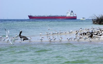 Hurricane Idalia Update: Port Tampa Bay re-opens and returns to normal operations
